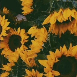 Meet your Posher, Mely